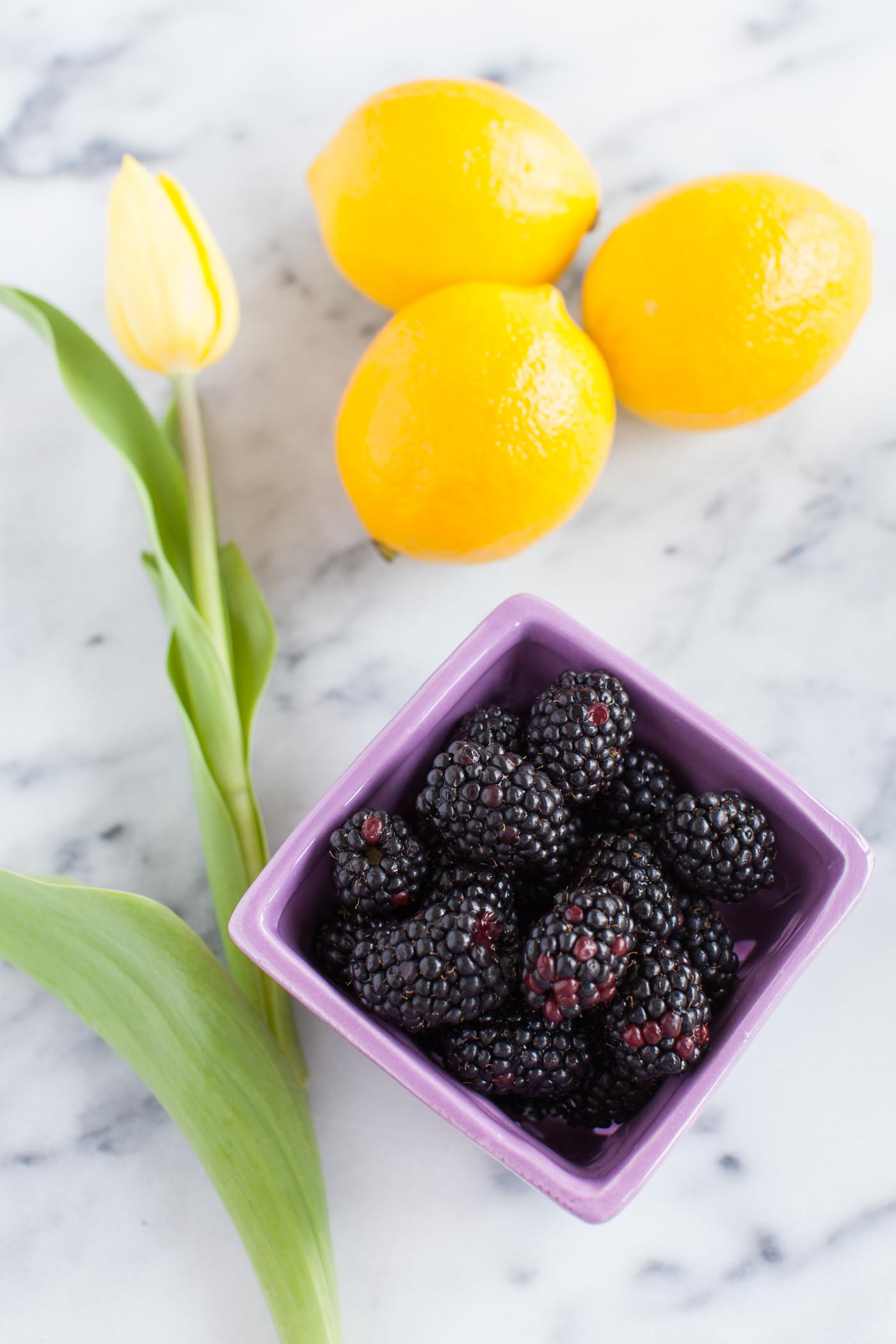 Blackberry Meyer Lemon Vodka Fizz