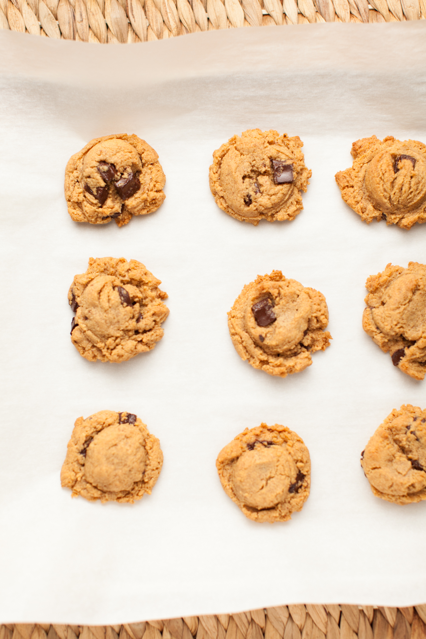 Peanut Butter Chocolate Chip Cookies