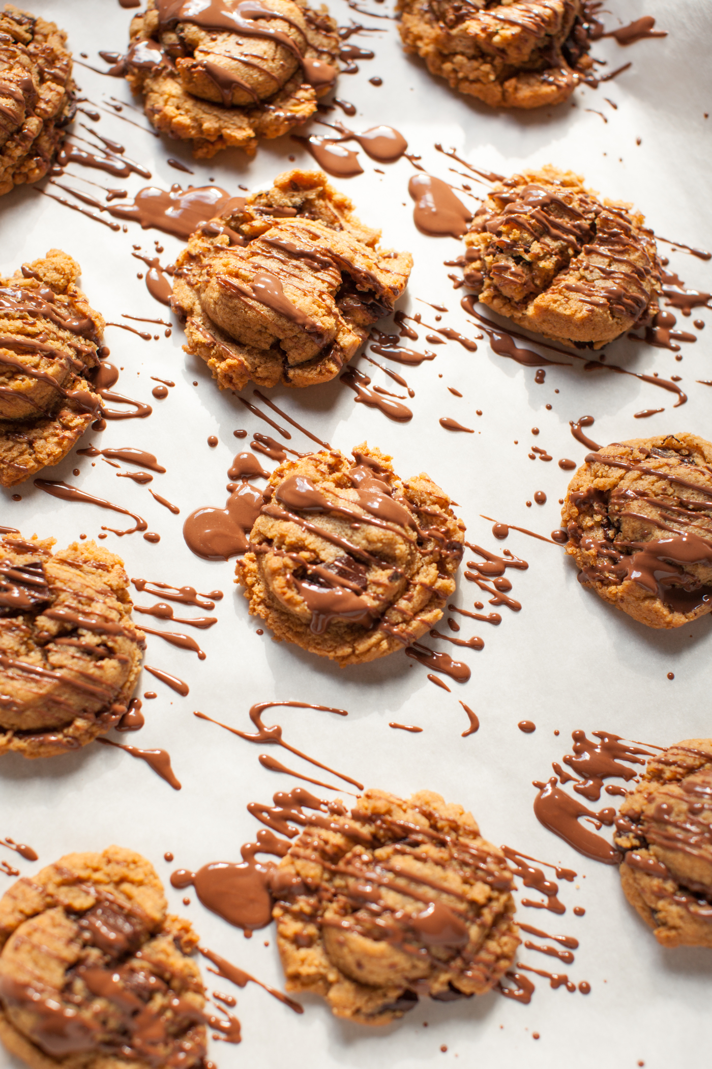 Peanut Butter Chocolate Chip Cookies